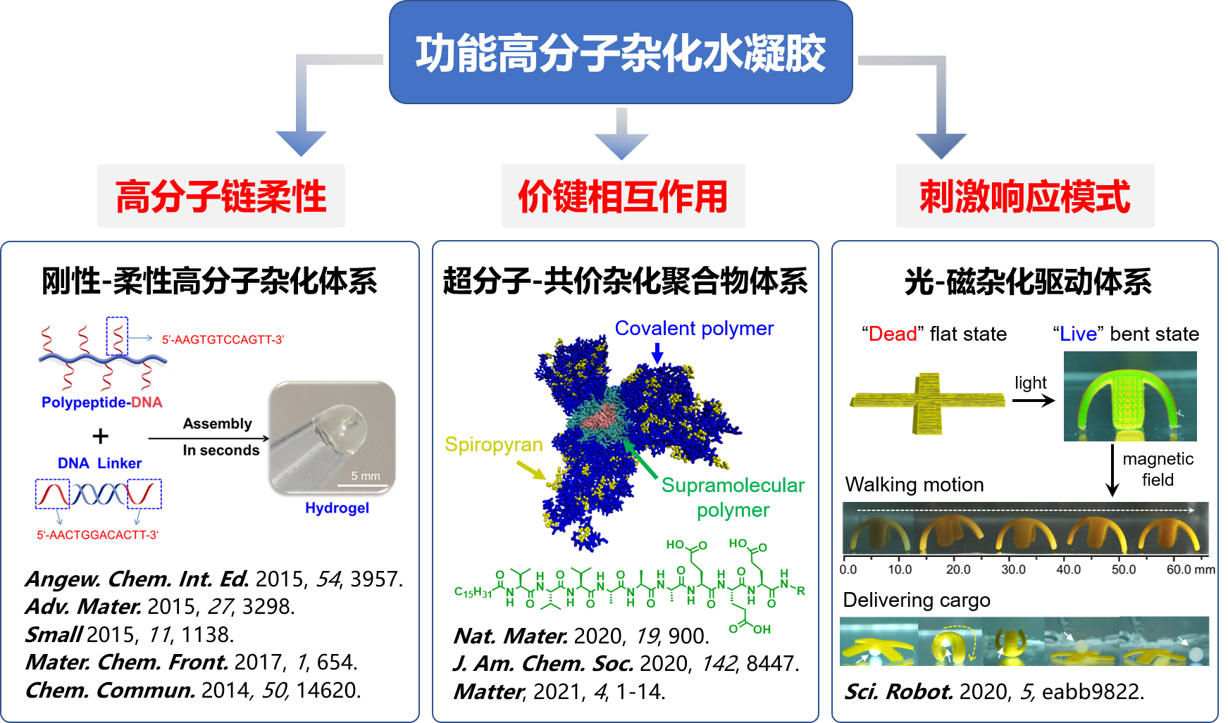 新型响应性高分子水凝胶材料.png