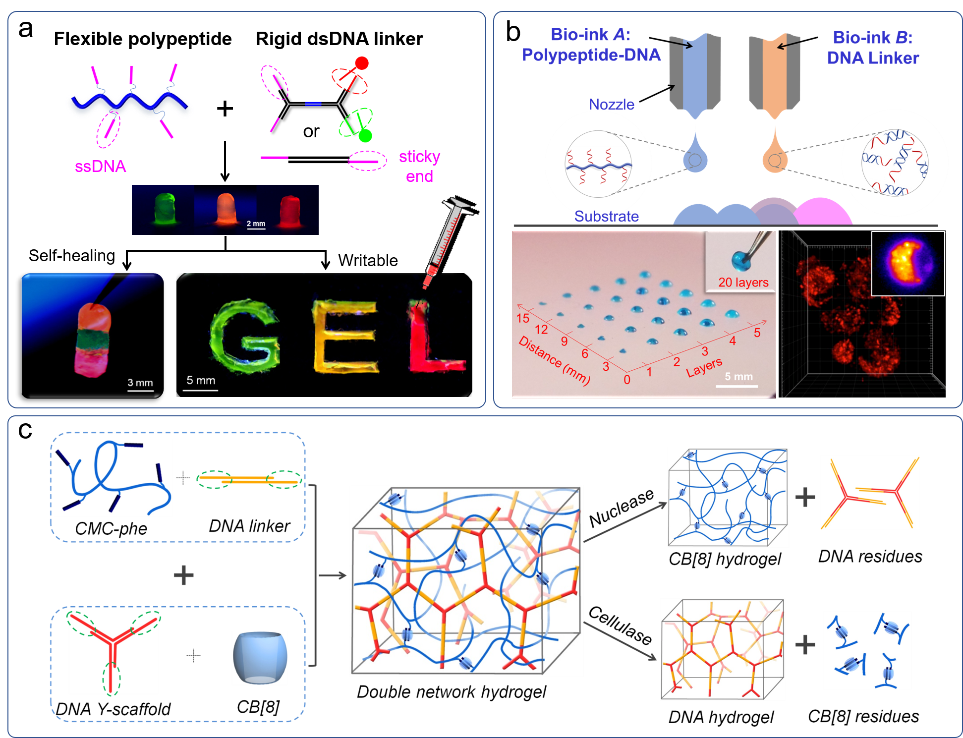 超分子组装软物质.png