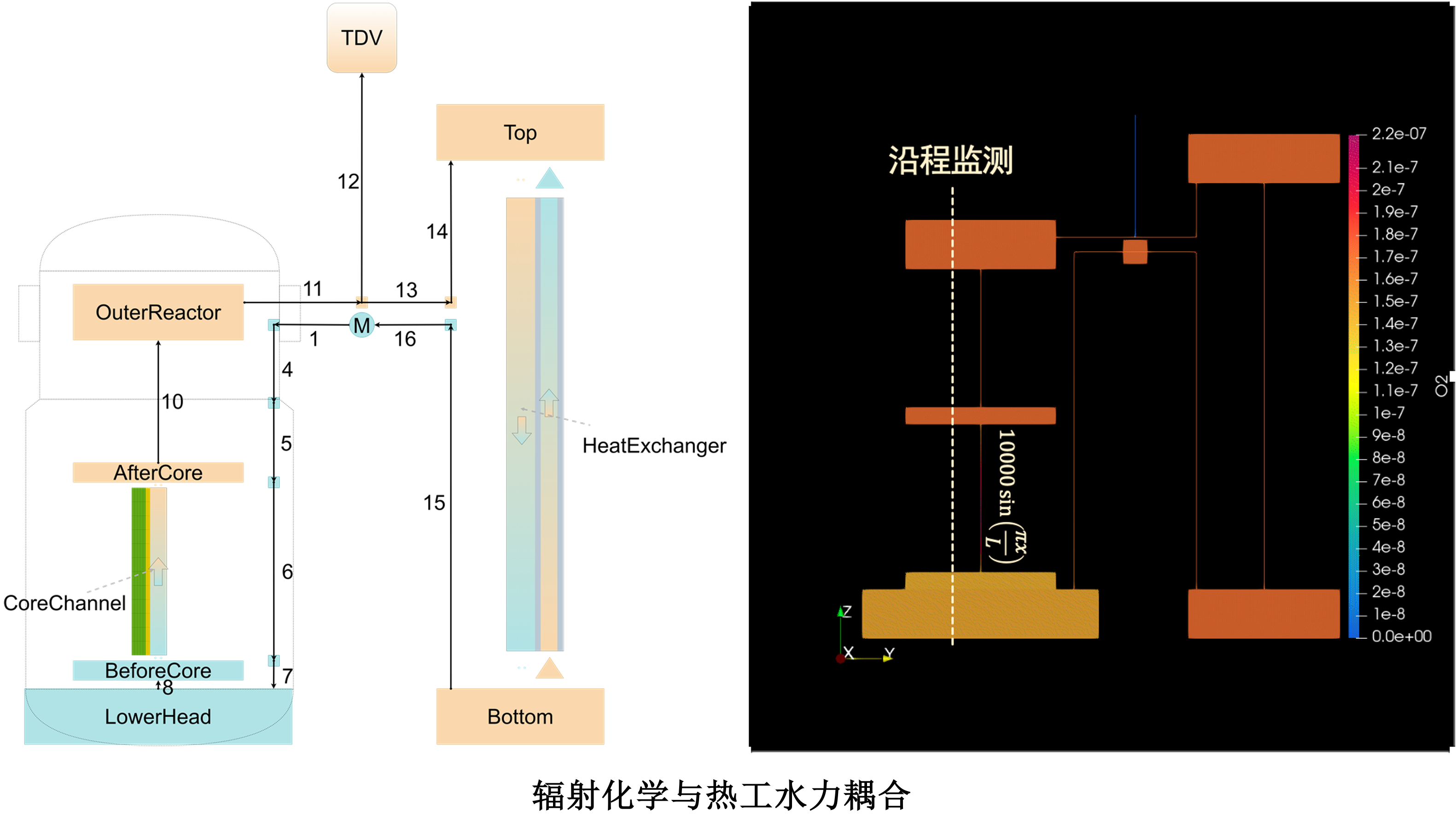 辐射化学与热工水力耦合.png