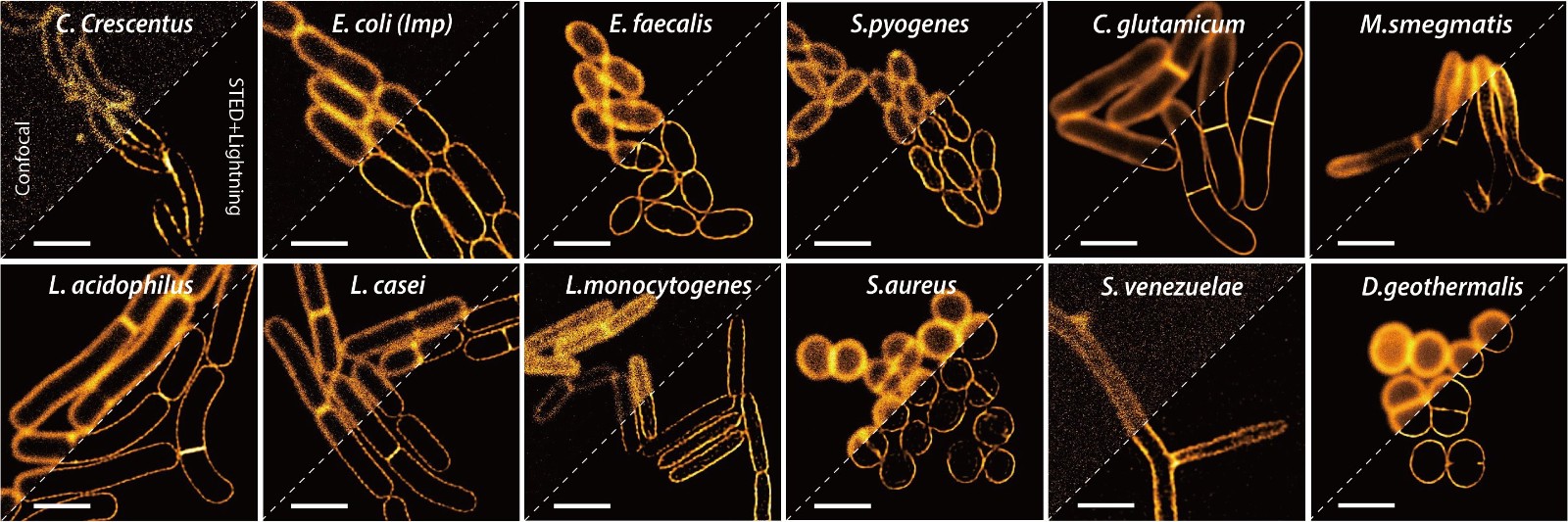 Figure_3-1.jpg